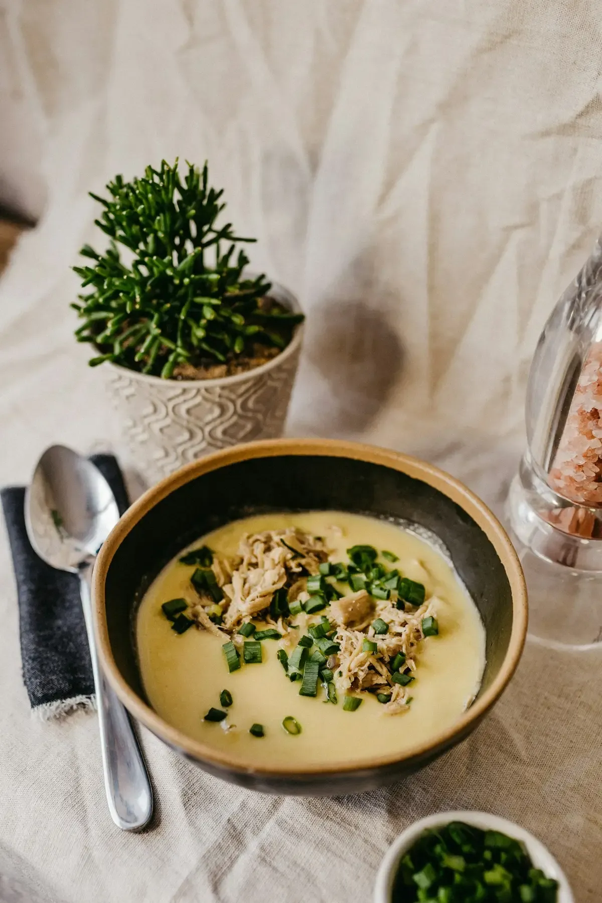 Sopa cremosa com frango desfiado