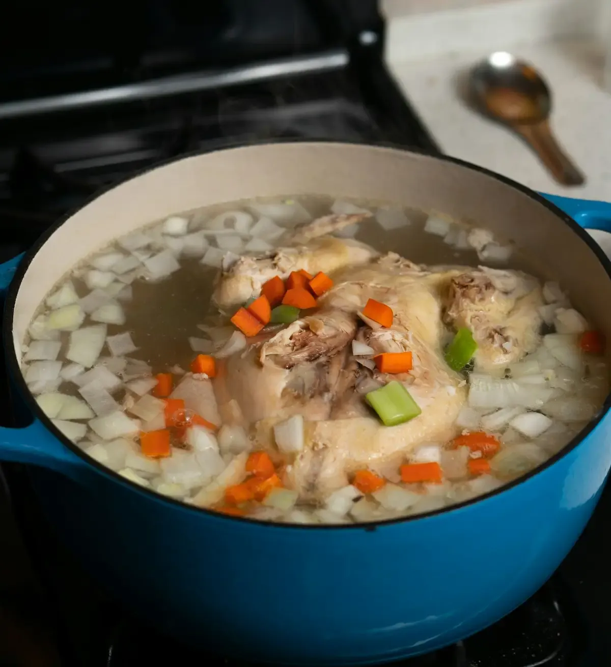 Canja de galinha com cenoura na panela