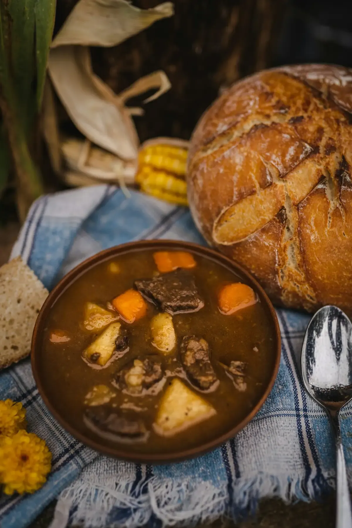 Ensopado de carne com legumes