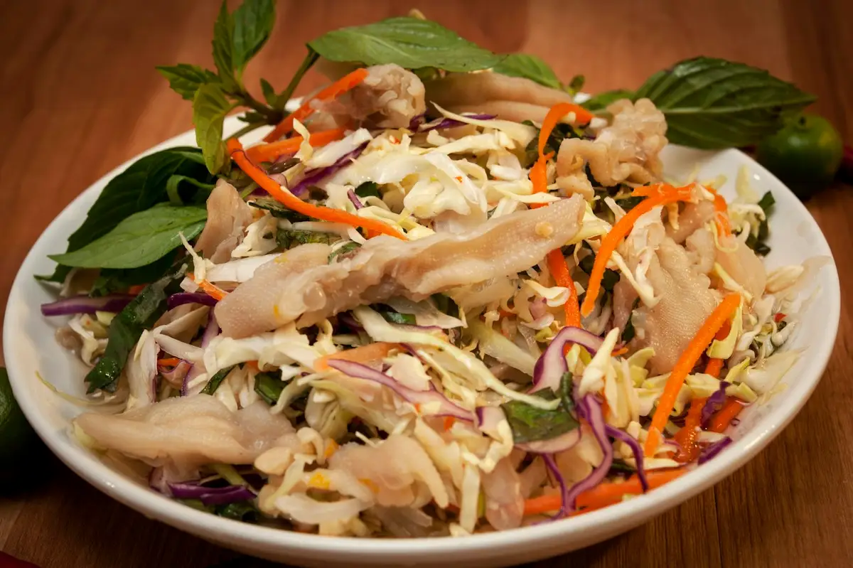 Imagem ilustrativa: gỏi gà, salada de frango vietnamita