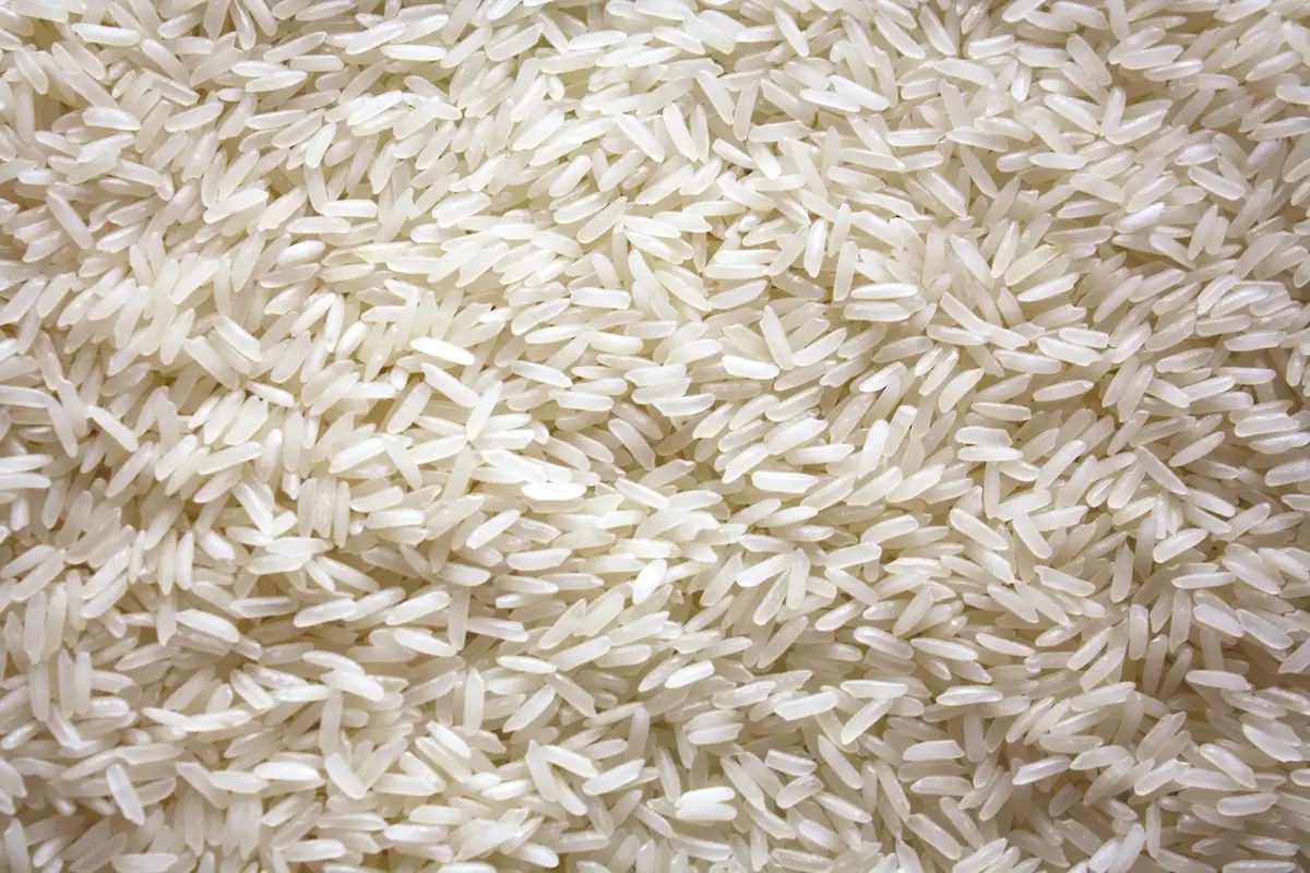 Imagem ilustrativa: quibe de arroz paraense assado
